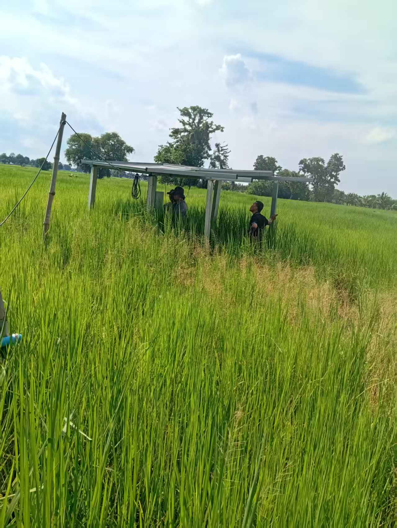 ทีม EIIMAN ตรวจสอบระบบปั๊มน้ำพลังงานแสงอาทิตย์ในนาข้าว จังหวัดบุรีรัมย์